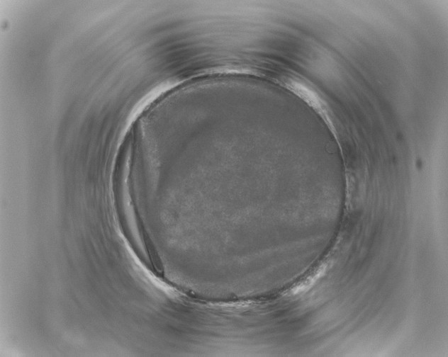 X0000059251141200510281949