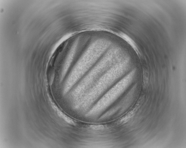 X0000059251142200510281949