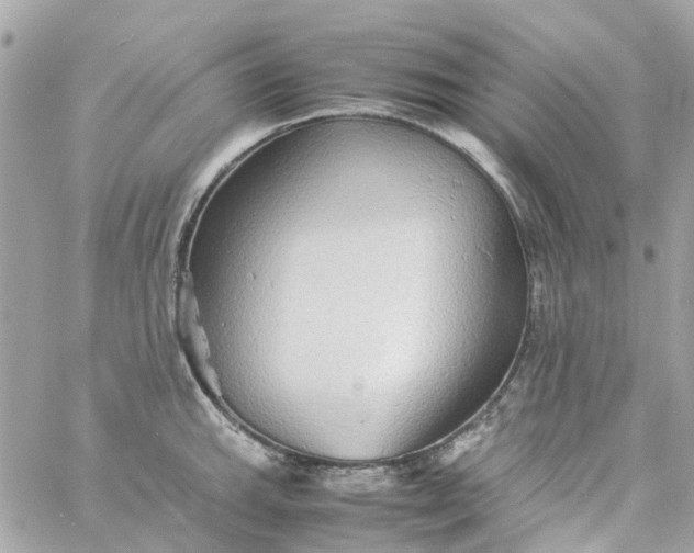 X0000059251143200510281949