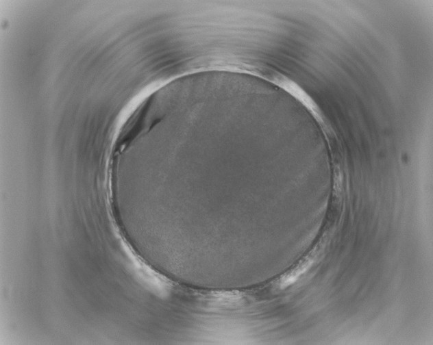 X0000059251144200510281949