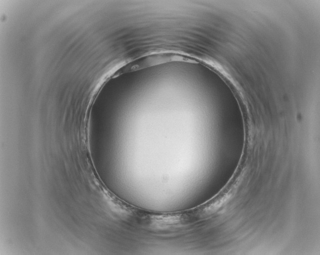 X0000059251145200510281949