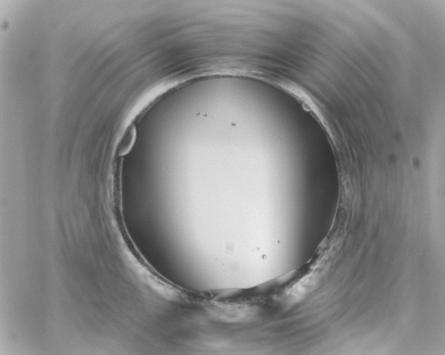 X0000059251147200510281949