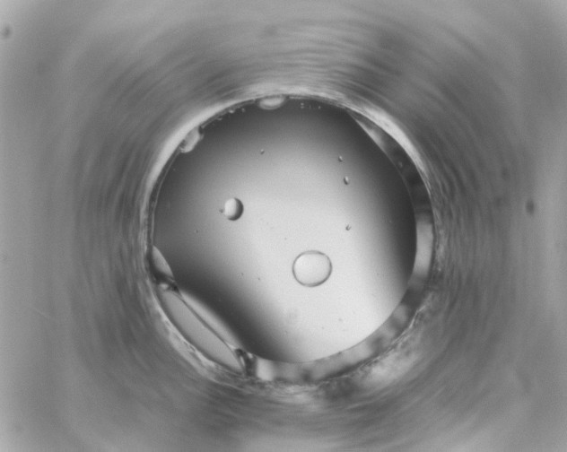 X0000059251148200510281949