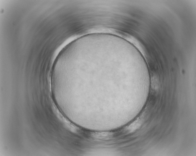 X0000059251150200510281949