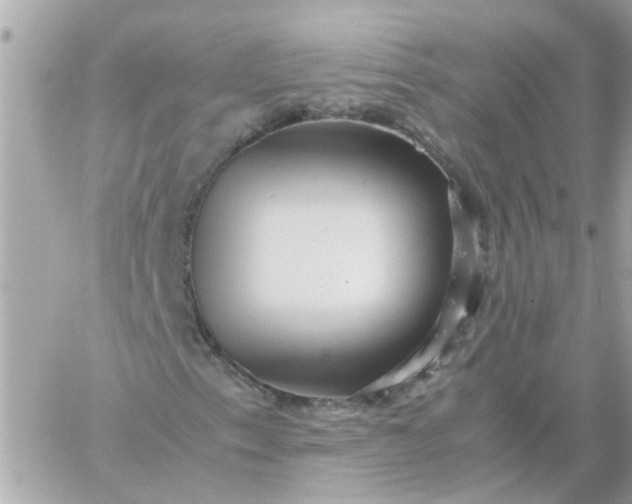 X0000059251153200510281949