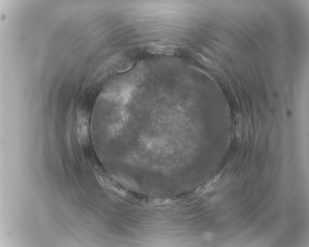 X0000059251154200510281949