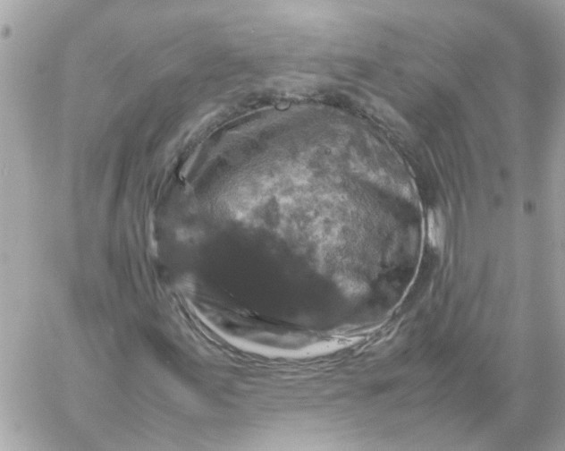 X0000059251155200510281949