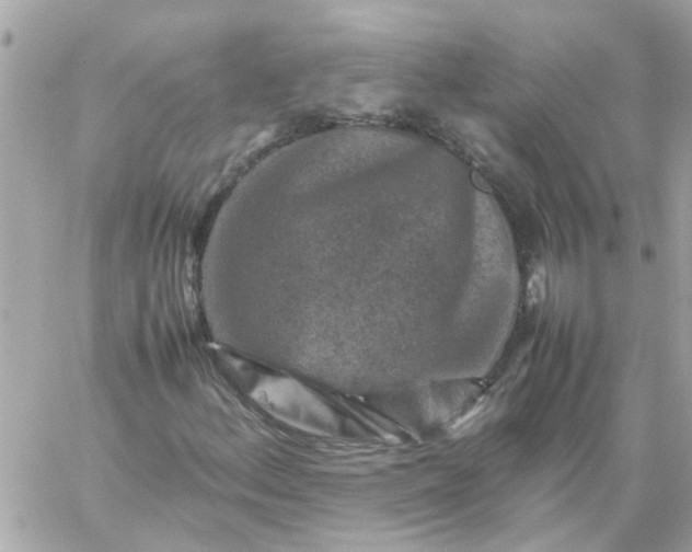 X0000059251156200510281949