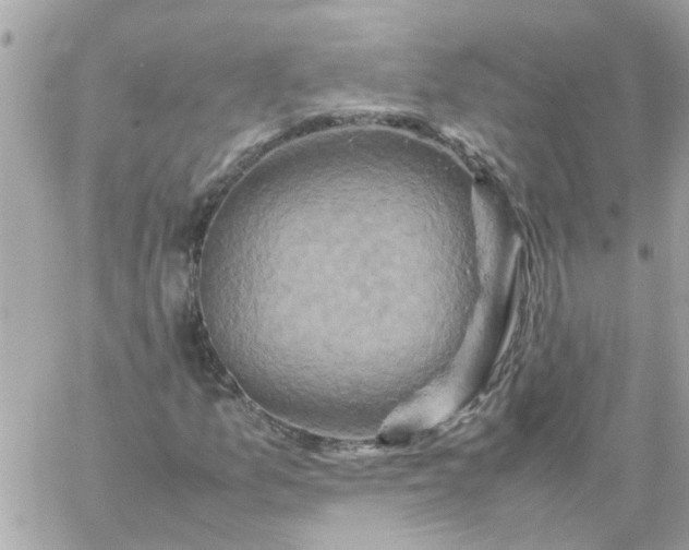 X0000059251157200510281949