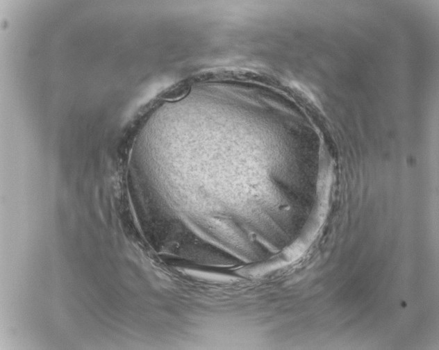 X0000059251159200510281949