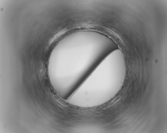 X0000059251160200510281949