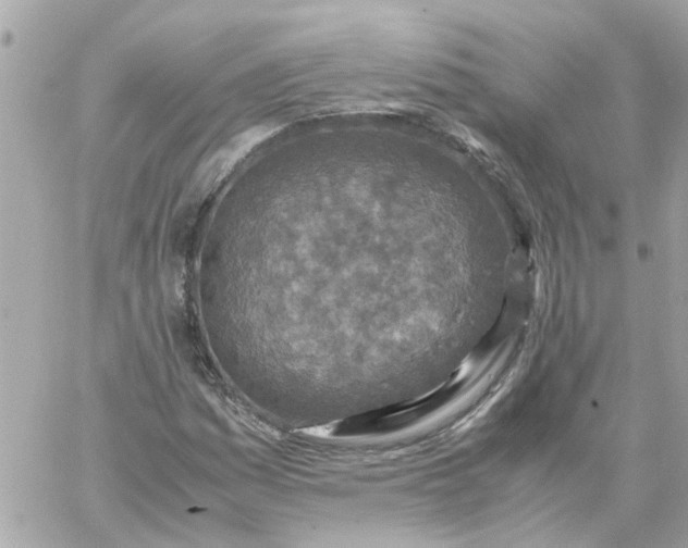 X0000059251161200510281949