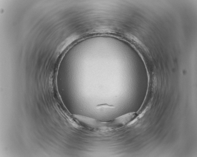 X0000059251162200510281949