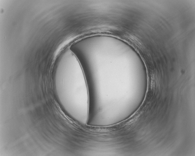 X0000059251164200510281948