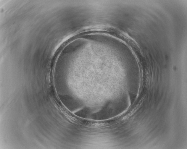 X0000059251166200510281948