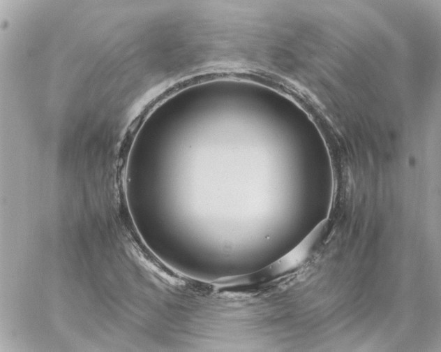 X0000059251168200510281948