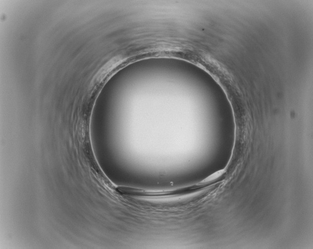 X0000059251169200510281948