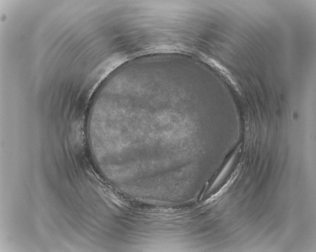 X0000059251170200510281948