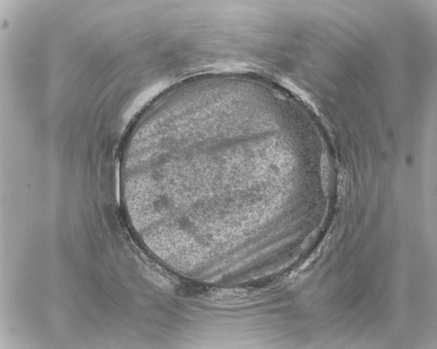 X0000059251171200510281948