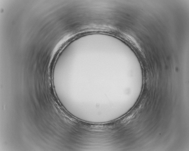 X0000059251172200510281948