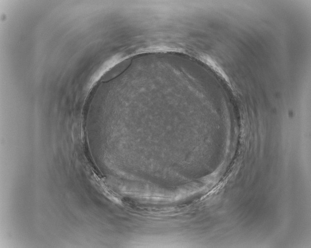 X0000059251173200510281948