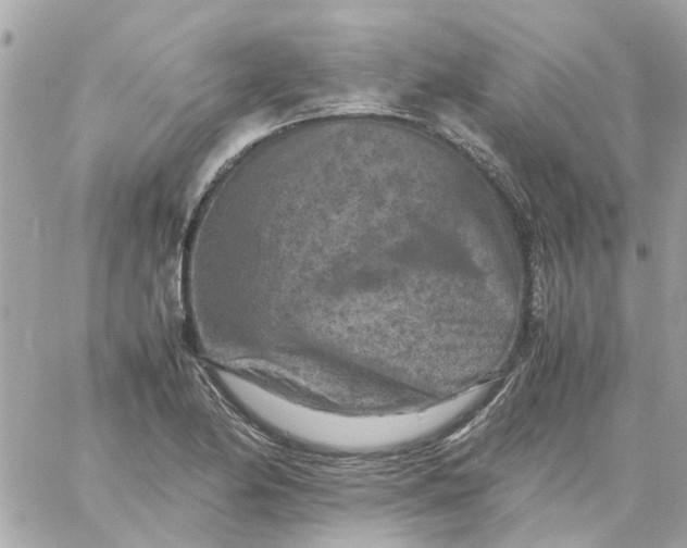 X0000059251174200510281948