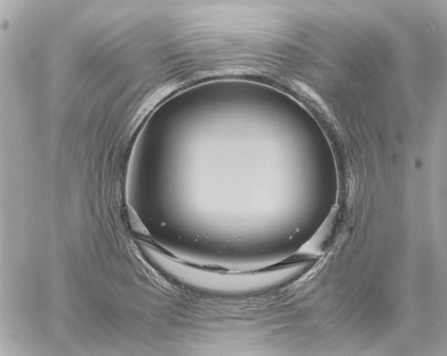 X0000059251177200510281948