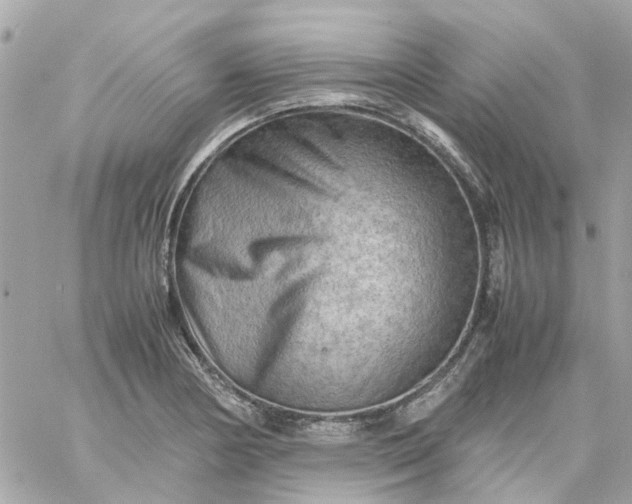 X0000059251178200510281948