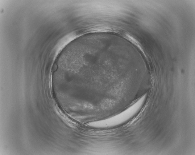 X0000059251179200510281948