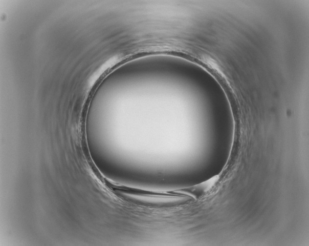 X0000059251181200510281948