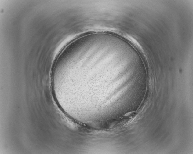 X0000059251183200510281948