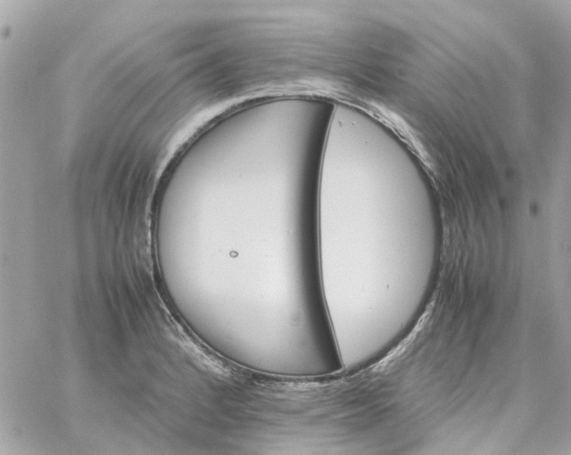 X0000059251184200510281948