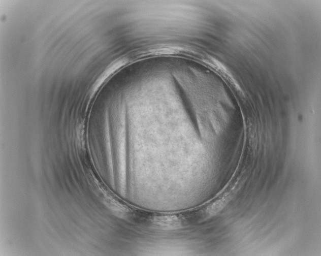 X0000059251186200510281948