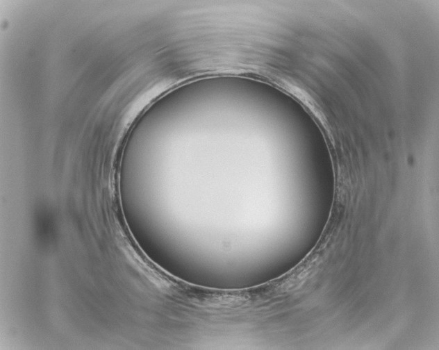 X0000059251187200510281948