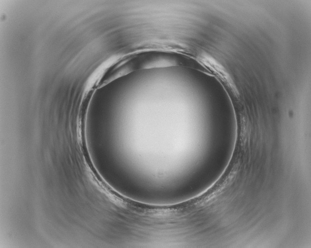 X0000059251188200510281948