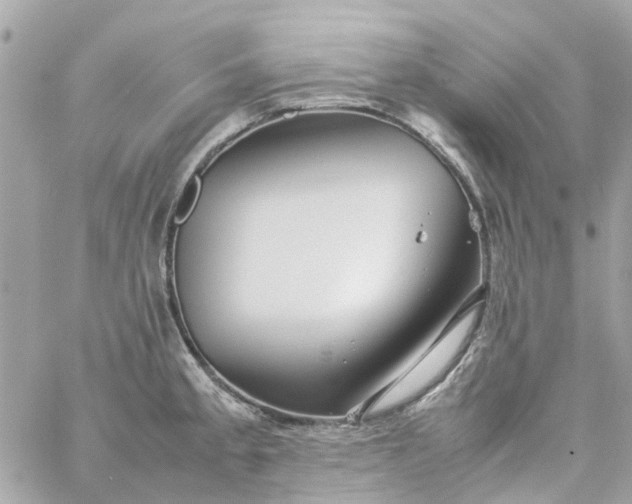 X0000059251189200510281948