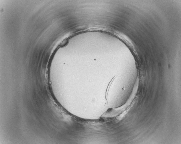 X0000059251190200510281948