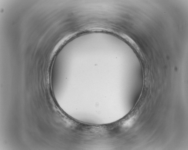 X0000059251191200510281948