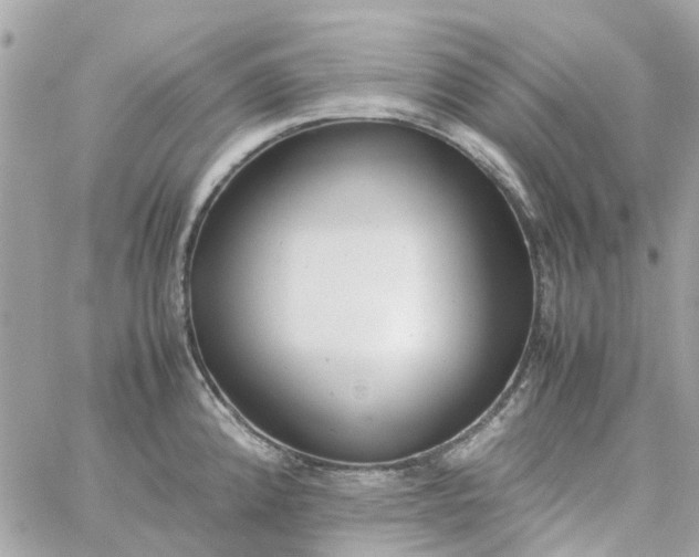 X0000059251192200510281948