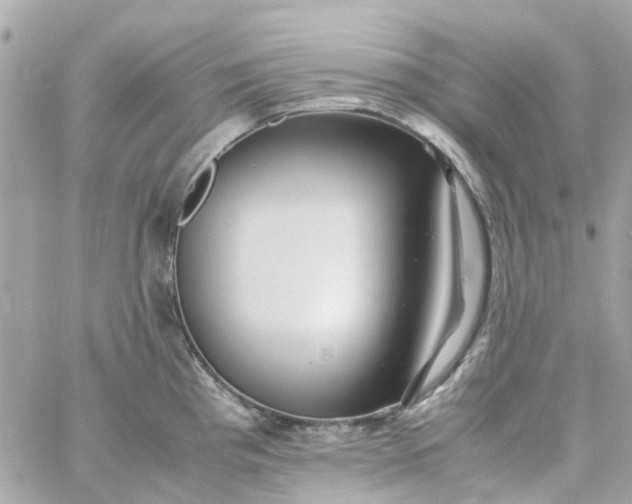 X0000059251193200510281948