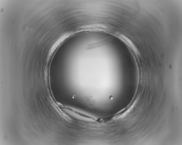 X0000059251196200510281948