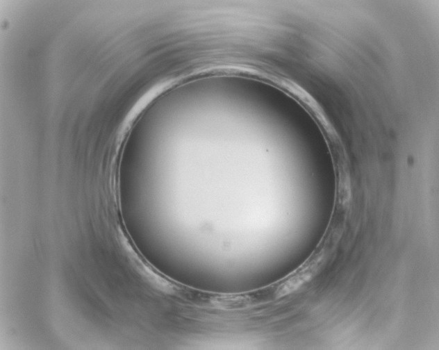 X0000059251199200510281948