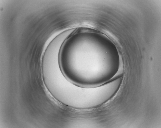 X0000059251200200510281948