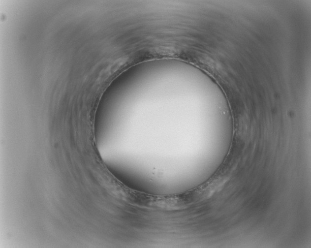 X0000059251201200510281947