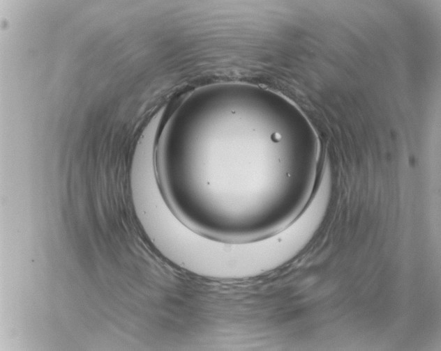 X0000059251202200510281947