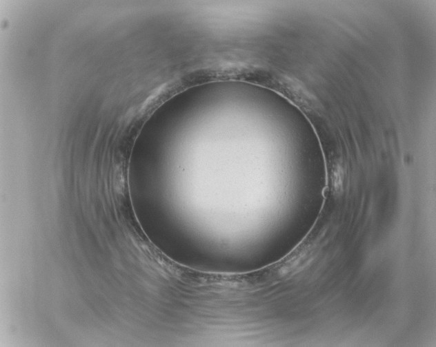 X0000059251204200510281947