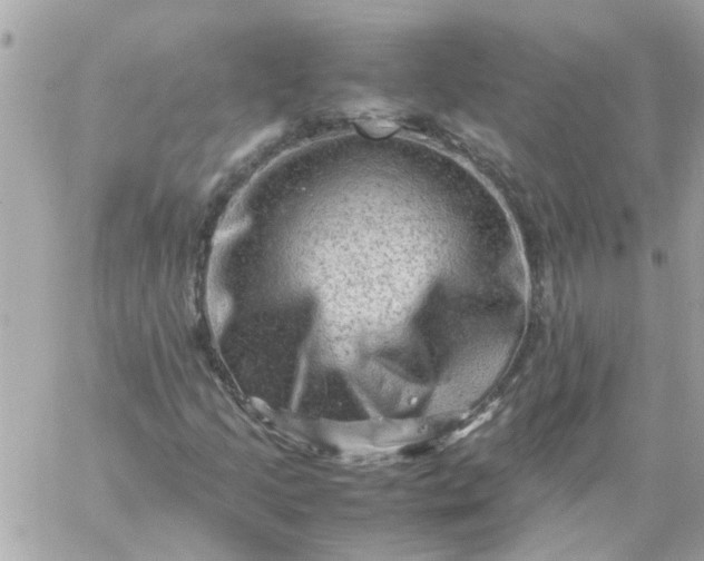 X0000059251205200510281947