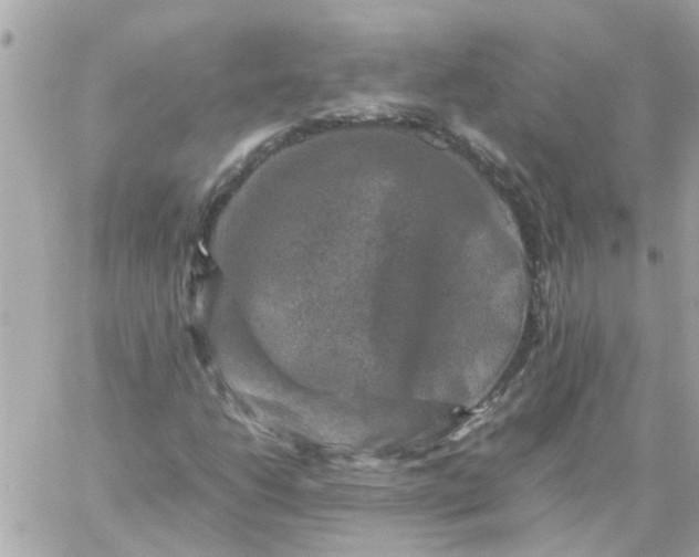 X0000059251206200510281947