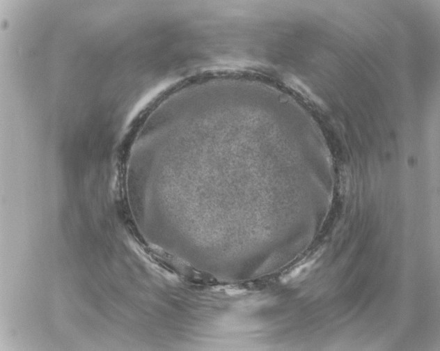 X0000059251208200510281947