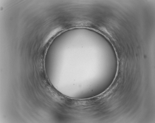 X0000059251211200510281947